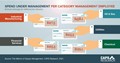 Spend Under Management infographic by CAPS