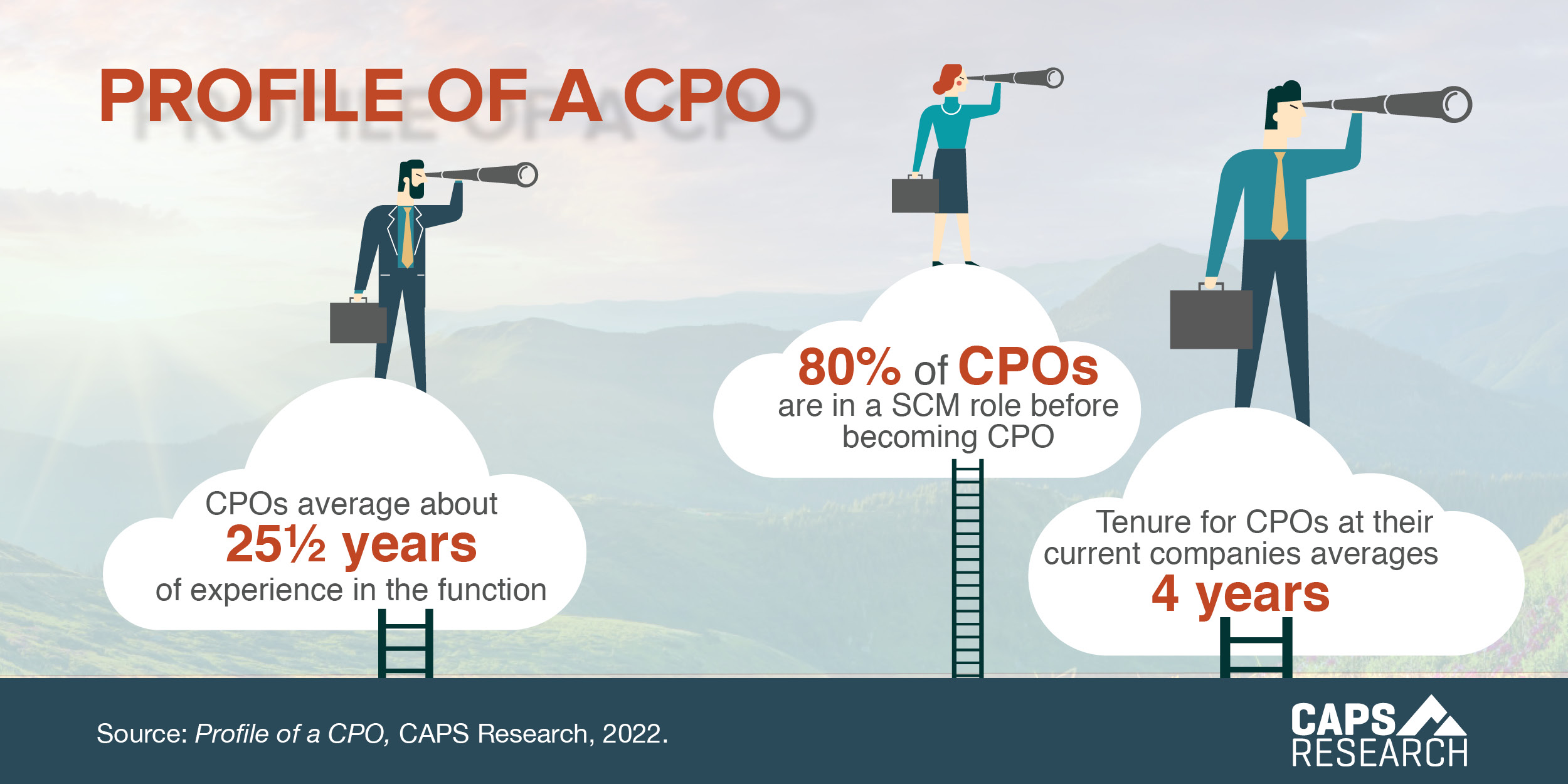 What Is A Cpo Protection Order