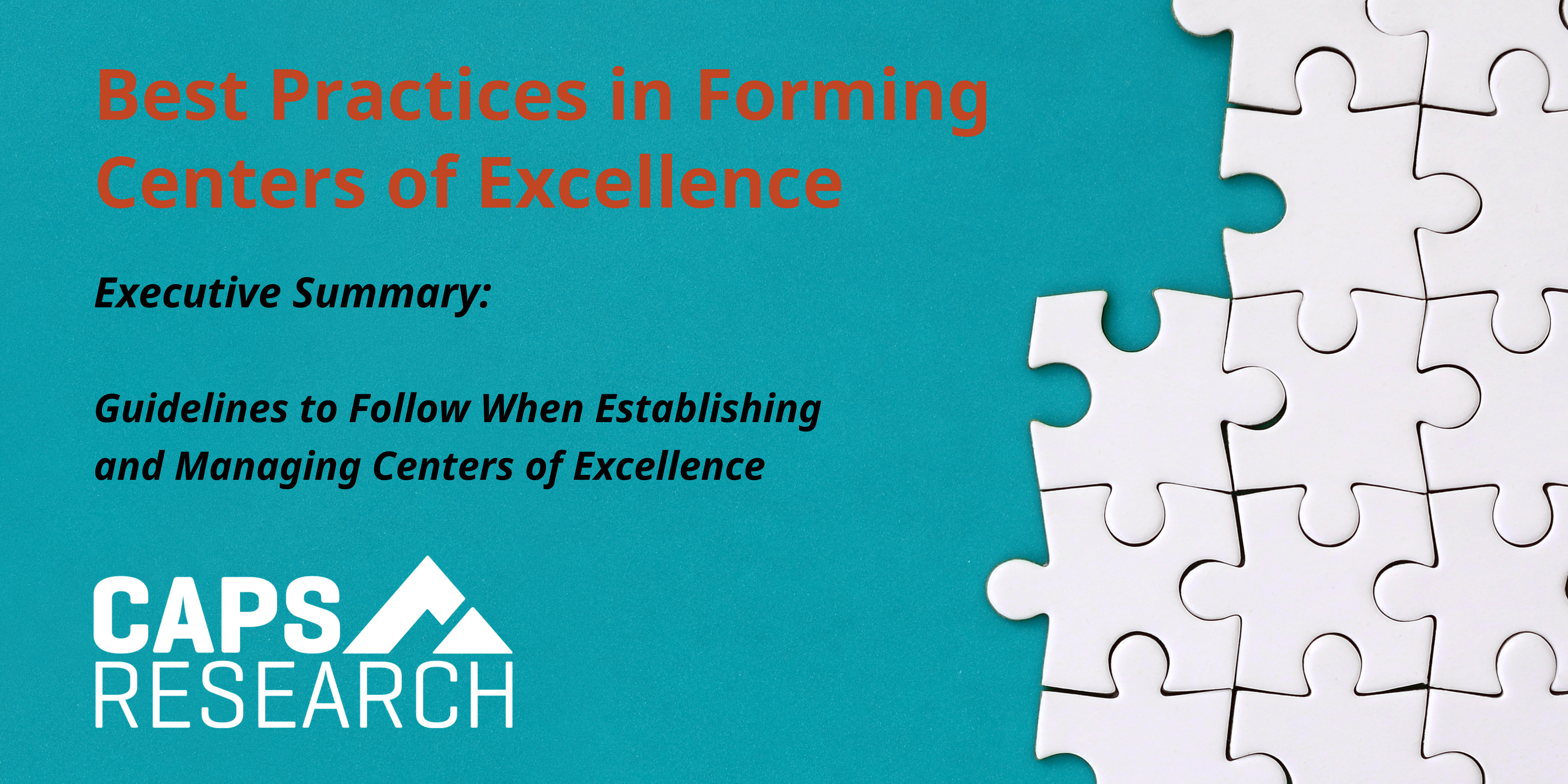 CAPS Research Article - Best Practices in forming Centers of Excellence